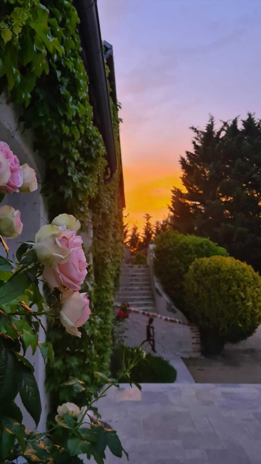 Domaine De La Blonnerie Bed & Breakfast Feings  ภายนอก รูปภาพ
