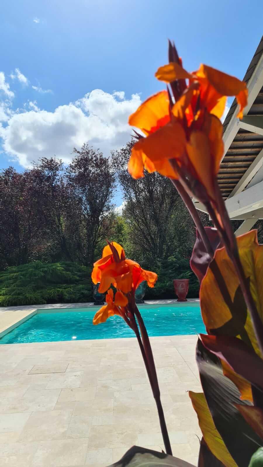 Domaine De La Blonnerie Bed & Breakfast Feings  ภายนอก รูปภาพ