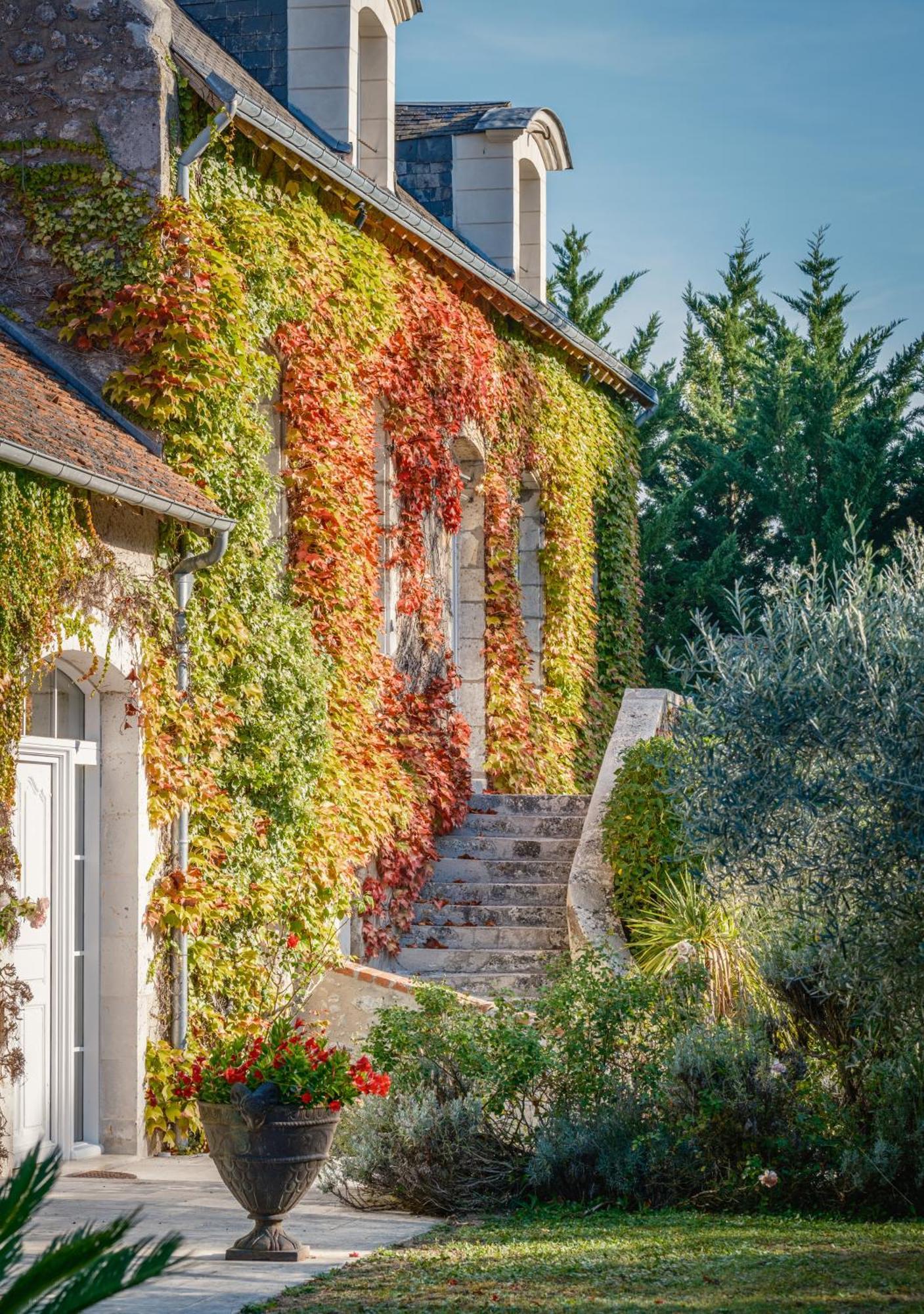 Domaine De La Blonnerie Bed & Breakfast Feings  ภายนอก รูปภาพ